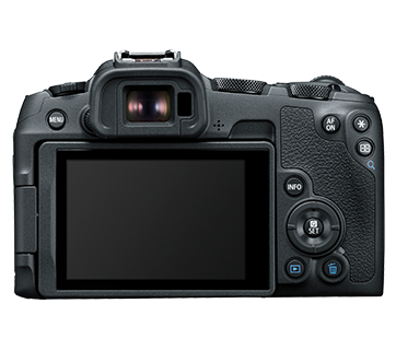 Canon EOS R8 (Body)