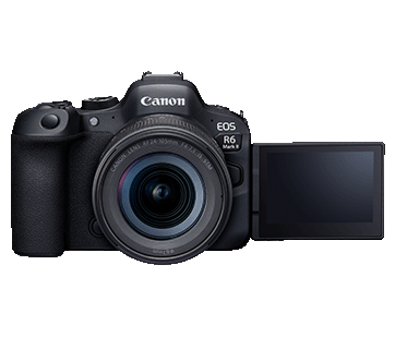 Canon EOS R6 Mark II (RF24-105mm f/4-7.1 IS STM)