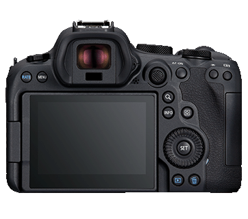 Canon EOS R6 Mark II (RF24-105mm f/4-7.1 IS STM)