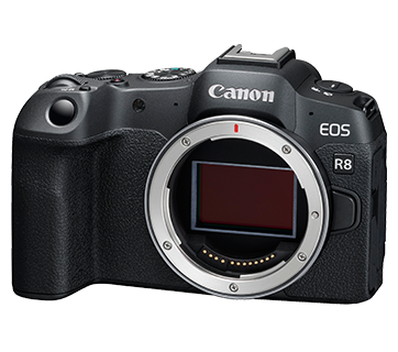 Canon EOS R8 (Body)
